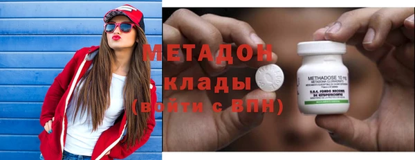 стаф Алзамай
