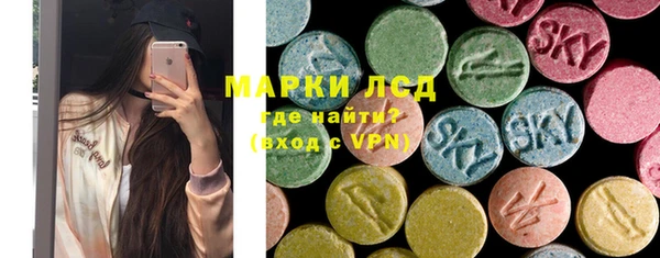 стаф Алзамай