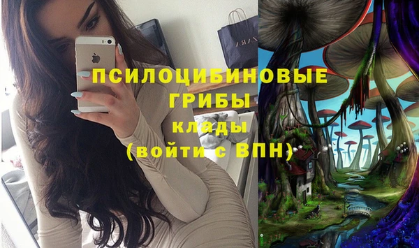 мескалин Алексеевка