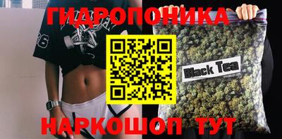 spice Гусиноозёрск