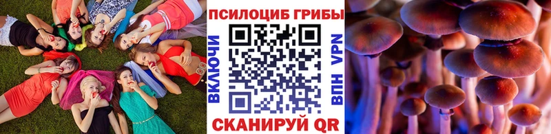 Галлюциногенные грибы GOLDEN TEACHER  OMG зеркало  Каменск-Уральский 