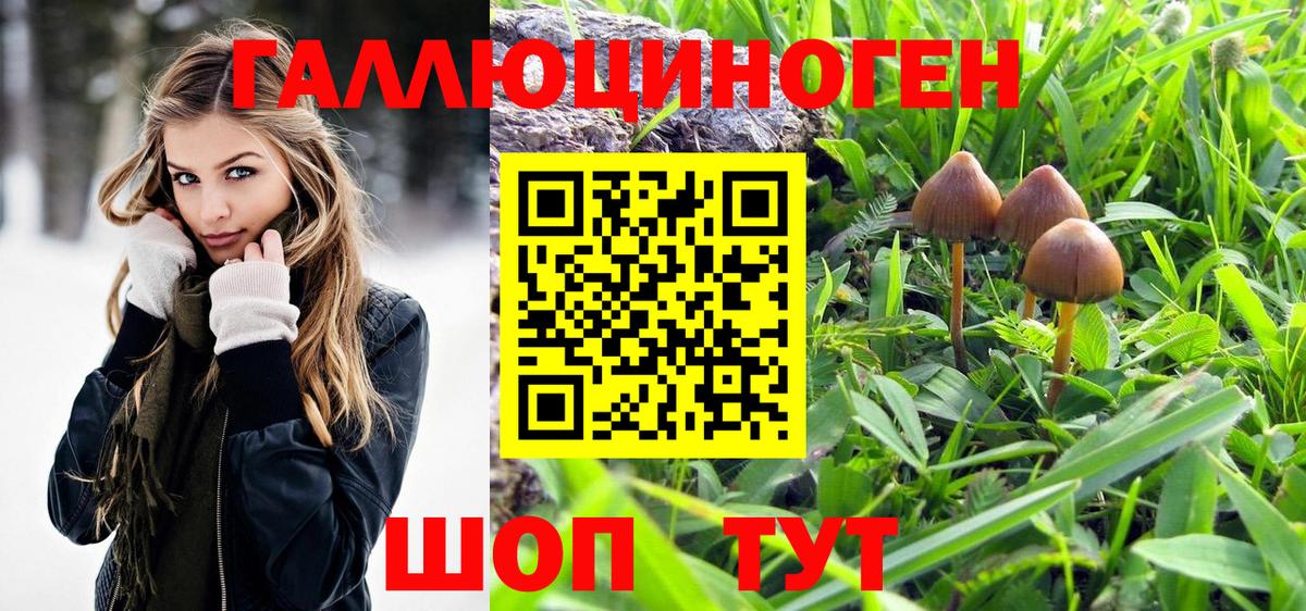 Каменск-Уральский  Галлюциногенные грибы Magic Shrooms  Вход с VPN 