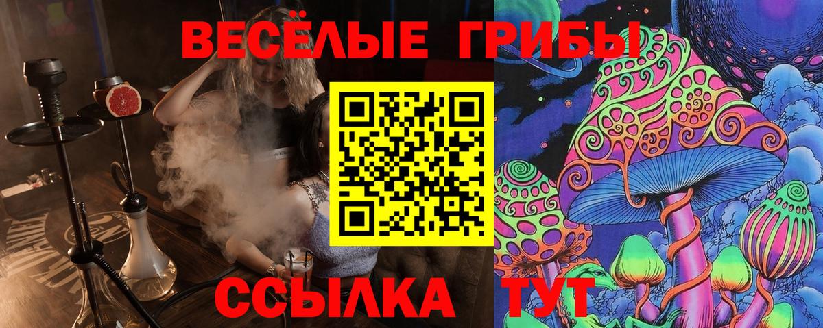 Галлюциногенные грибы Cubensis Каменск-Уральский
